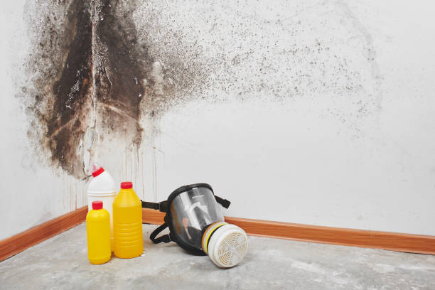 Best Water Damage Restoration  in Ahwahnee, CA