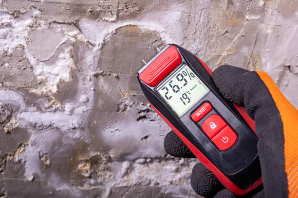 Best Mold Removal Company Near Me  in Ahwahnee, CA