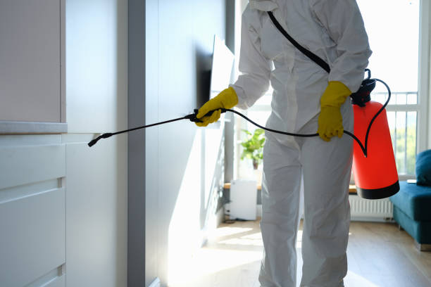 Best Water Damage Restoration  in Ahwahnee, CA