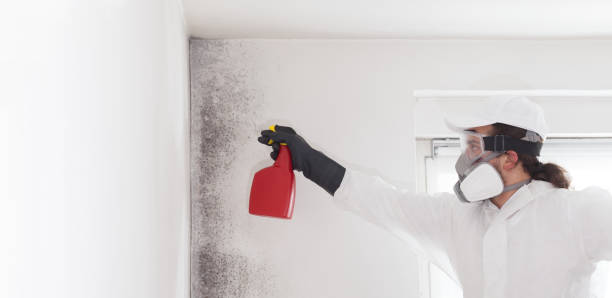 Best Residential Mold Removal  in Ahwahnee, CA
